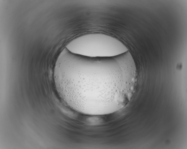 X0000113620183200909181125