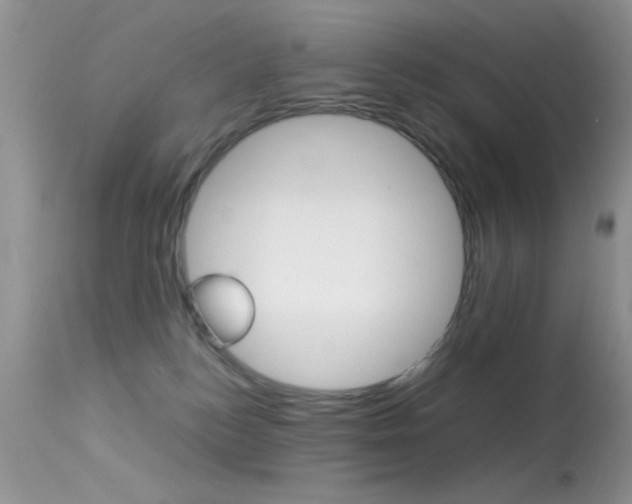 X0000113620184200909181125