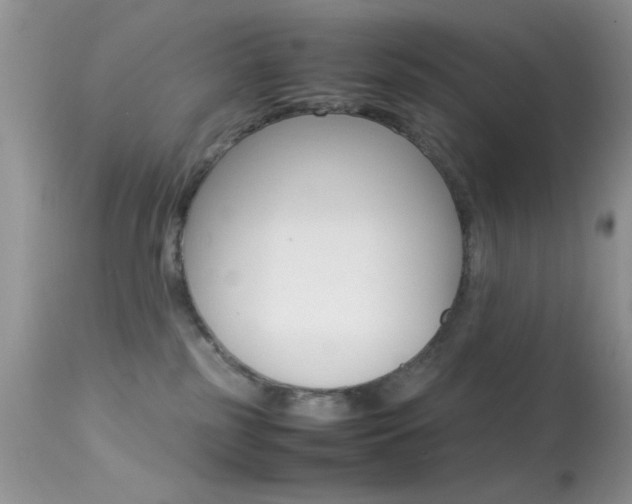 X0000113620185200909181125