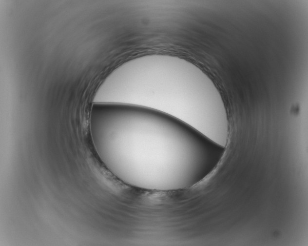 X0000113620186200909181125