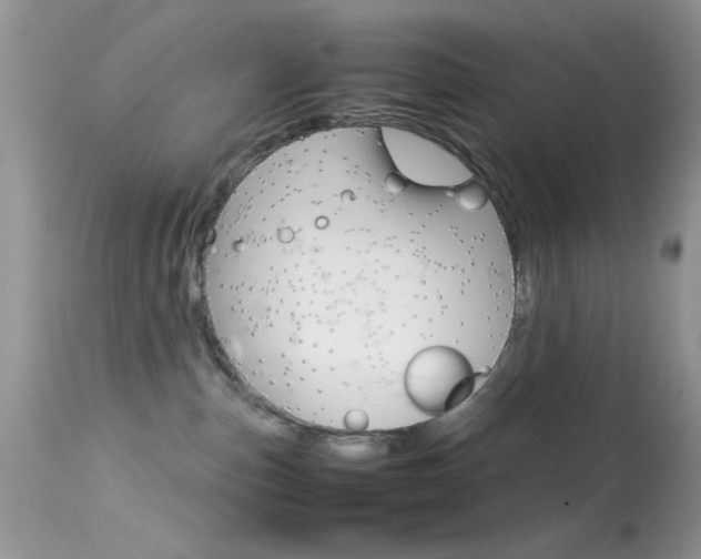 X0000113620187200909181125