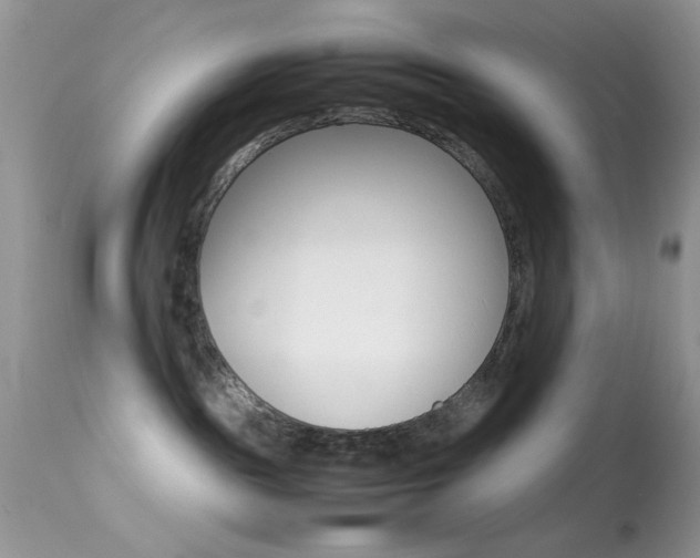 X0000113620189200909181125