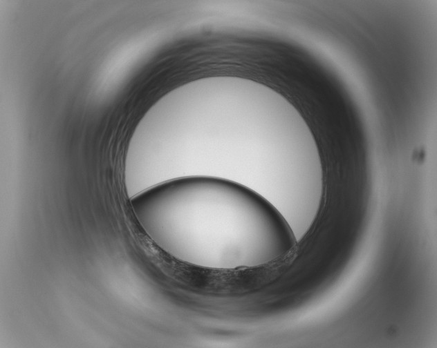 X0000113620190200909181125