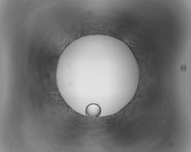 X0000113620192200909181125