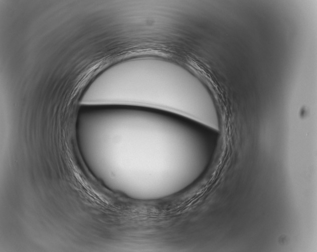 X0000113620193200909181124