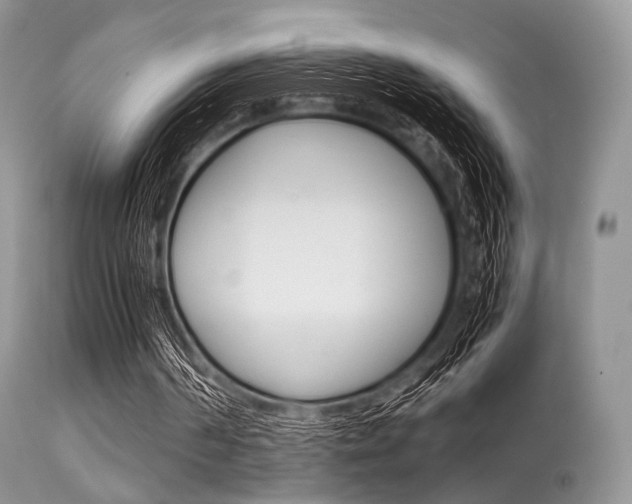 X0000113620194200909181124