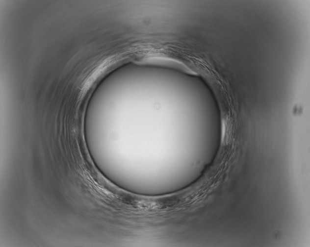 X0000113620195200909181124