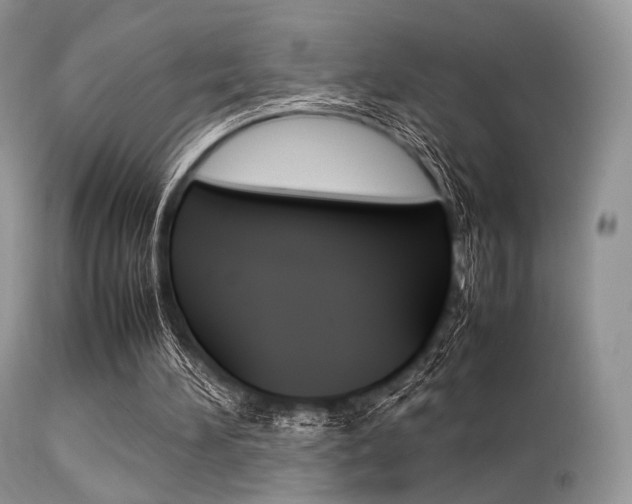 X0000113620196200909181124