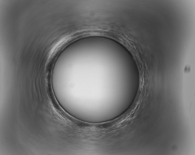 X0000113620197200909181124