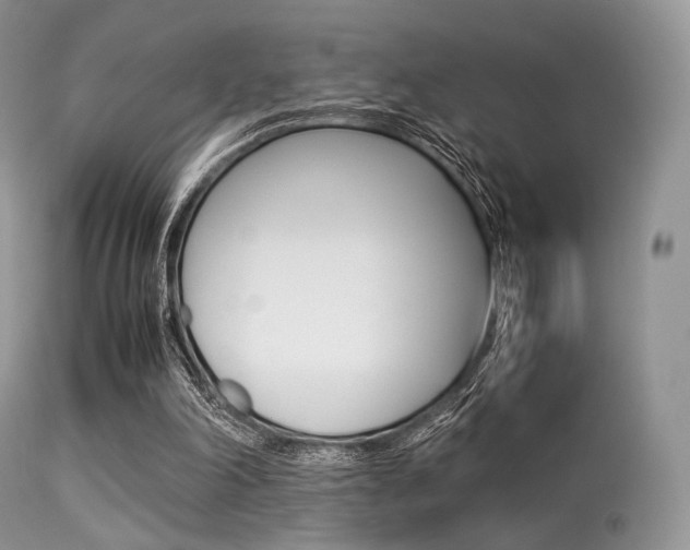 X0000113620198200909181124