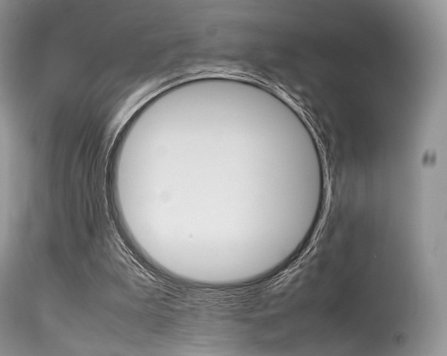 X0000113620199200909181124