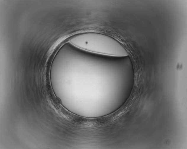 X0000113620200200909181124