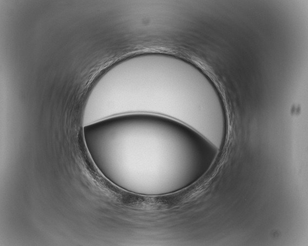 X0000113620201200909181124