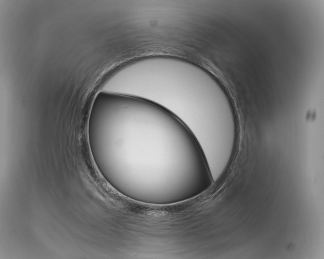 X0000113620203200909181124