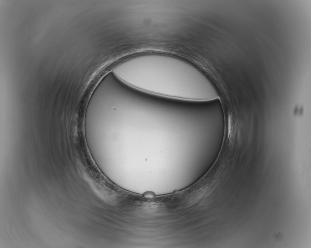 X0000113620204200909181124