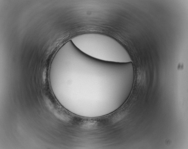 X0000113620206200909181124