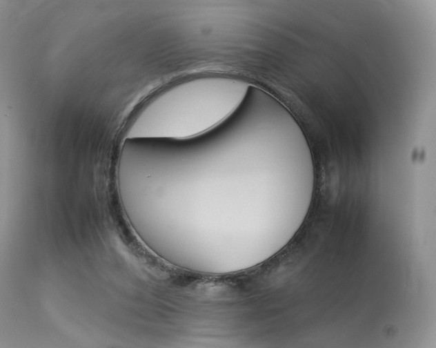 X0000113620208200909181124