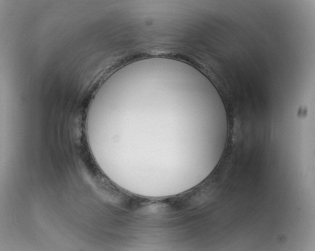 X0000113620210200909181124