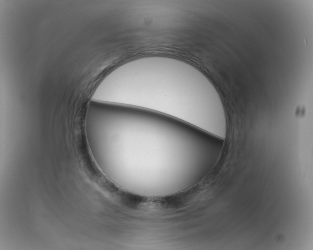 X0000113620211200909181124