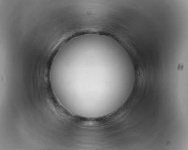 X0000113620212200909181124