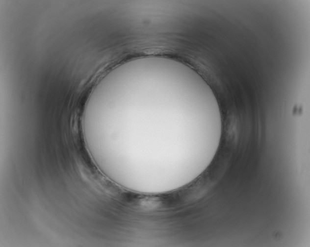 X0000113620214200909181124