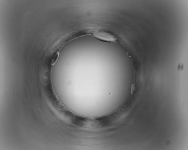 X0000113620215200909181124