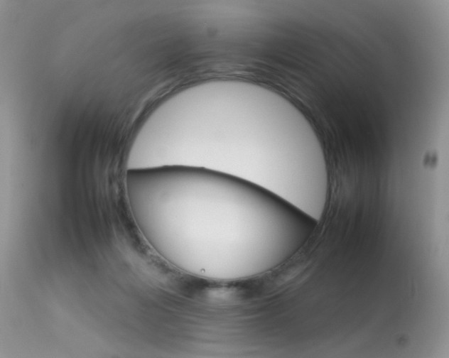 X0000113620216200909181124