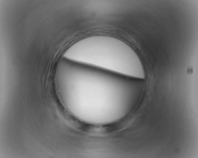 X0000113620217200909181124