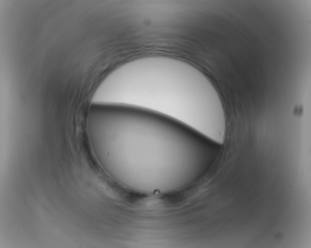 X0000113620219200909181124