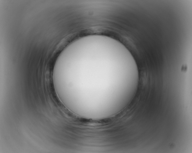 X0000113620220200909181124