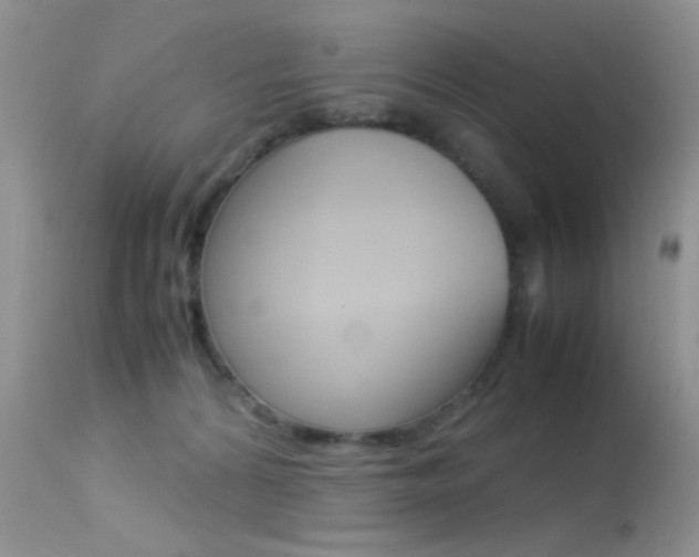 X0000113620224200909181124