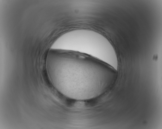 X0000113620227200909181124