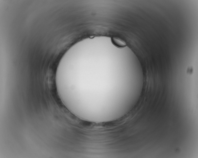 X0000113620228200909181124