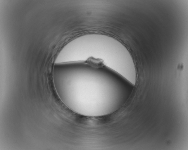 X0000113620229200909181123