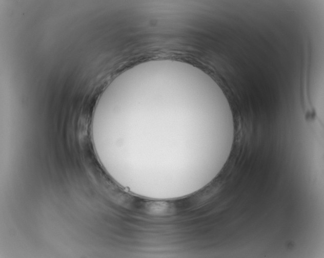 X0000113620230200909181123