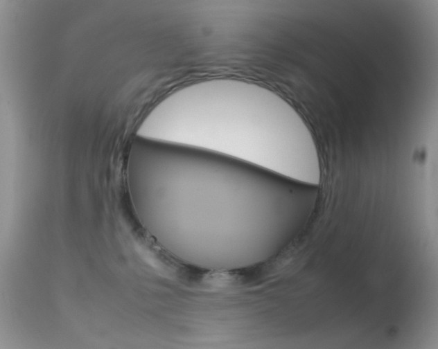 X0000113620231200909181123