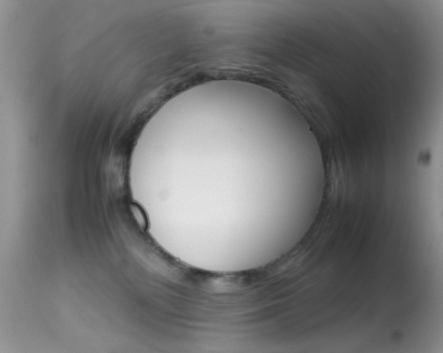 X0000113620232200909181123