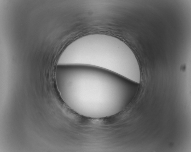 X0000113620233200909181123