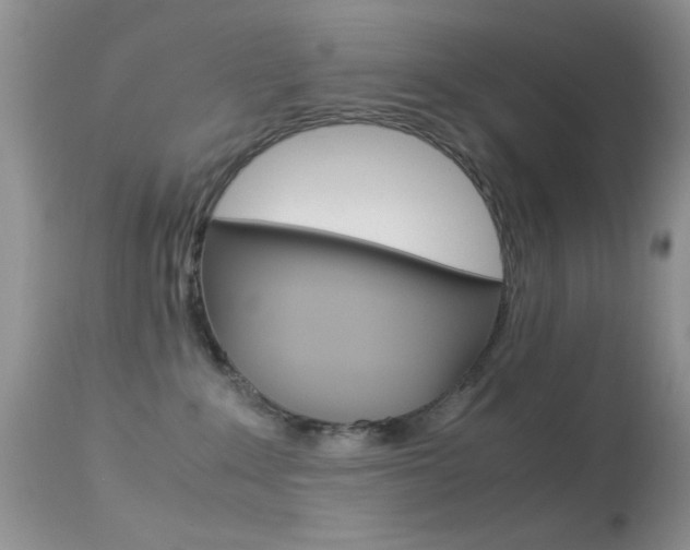 X0000113620235200909181123