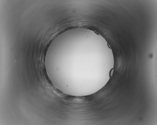 X0000113620236200909181123