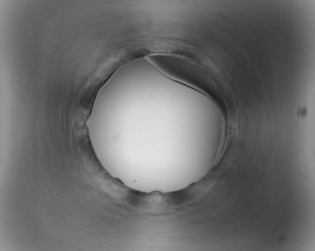 X0000113620237200909181123