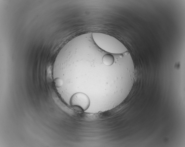 X0000113620238200909181123