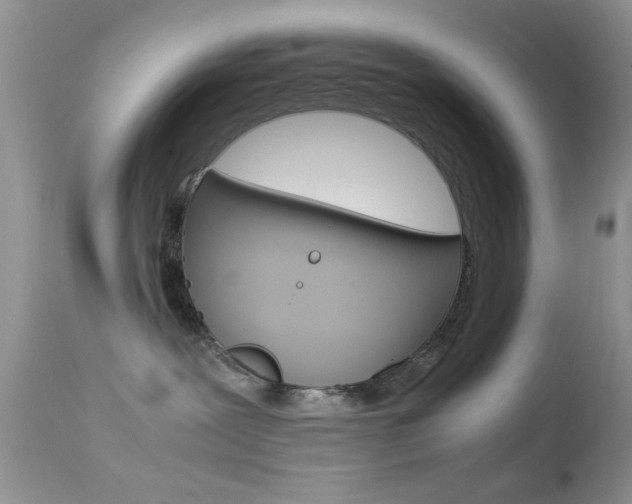 X0000113620239200909181123