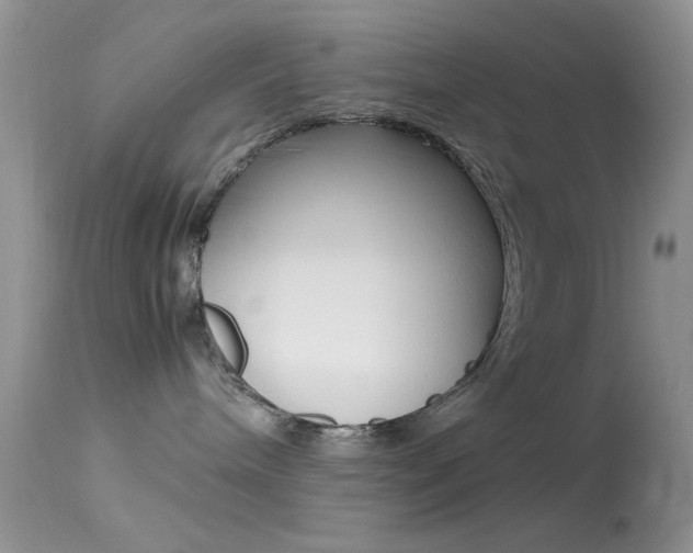 X0000113620240200909181123