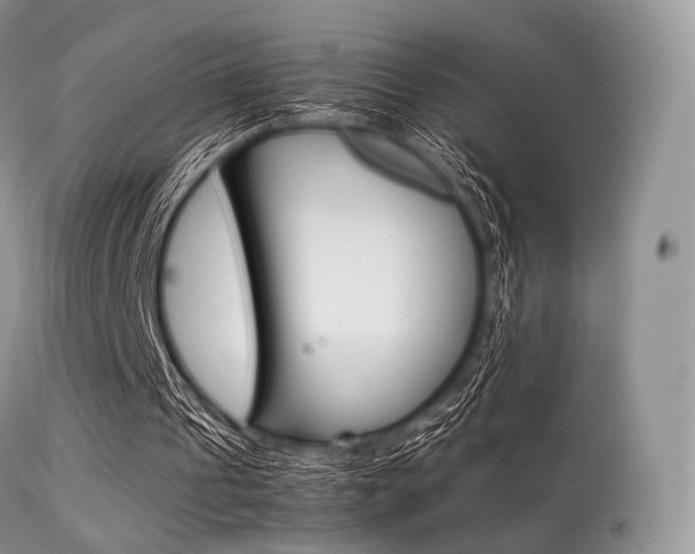 X0000113620241200909181123