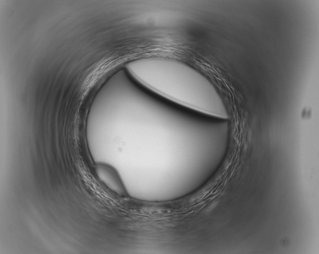 X0000113620242200909181123