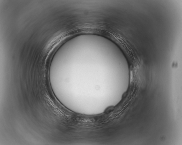 X0000113620243200909181123