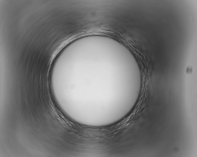 X0000113620244200909181123