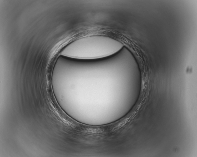 X0000113620245200909181123