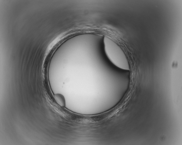 X0000113620246200909181123